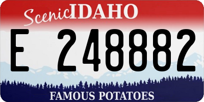 ID license plate E248882
