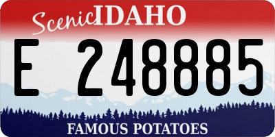ID license plate E248885