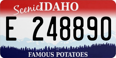 ID license plate E248890