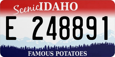 ID license plate E248891