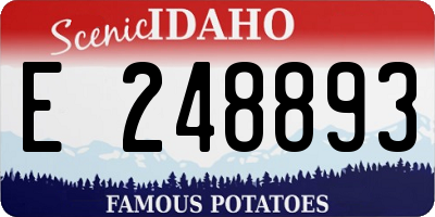 ID license plate E248893