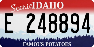 ID license plate E248894
