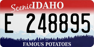 ID license plate E248895