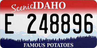 ID license plate E248896