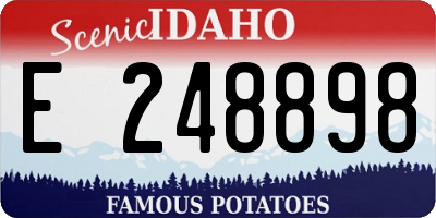 ID license plate E248898