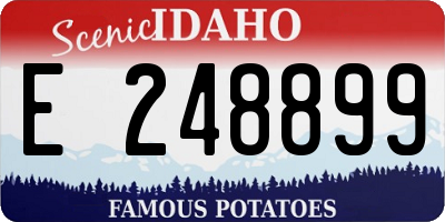 ID license plate E248899