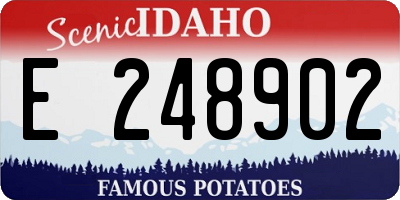 ID license plate E248902