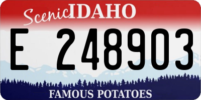 ID license plate E248903