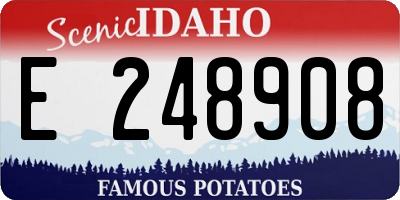 ID license plate E248908