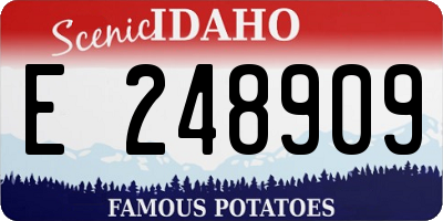 ID license plate E248909