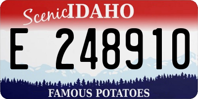 ID license plate E248910