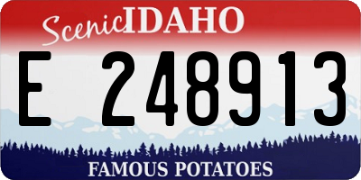 ID license plate E248913