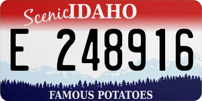 ID license plate E248916