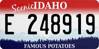 ID license plate E248919