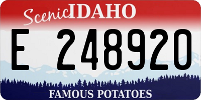 ID license plate E248920