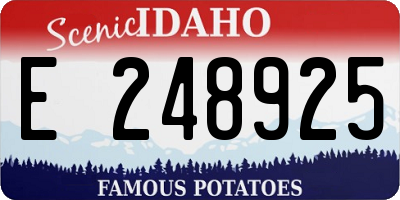 ID license plate E248925