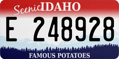 ID license plate E248928