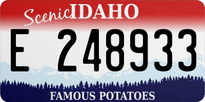 ID license plate E248933