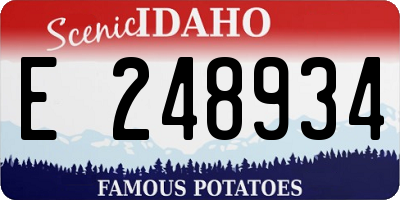 ID license plate E248934