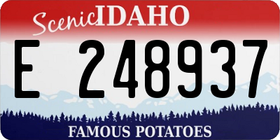 ID license plate E248937
