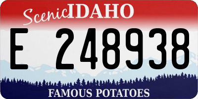 ID license plate E248938