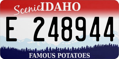 ID license plate E248944