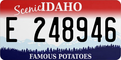 ID license plate E248946