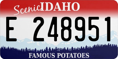 ID license plate E248951