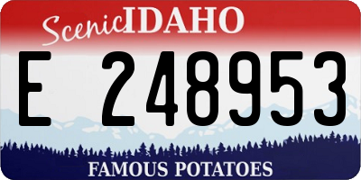 ID license plate E248953