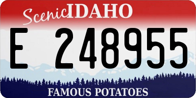ID license plate E248955