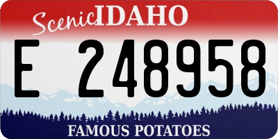 ID license plate E248958