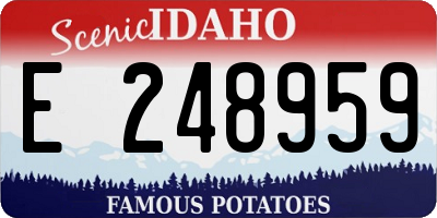 ID license plate E248959