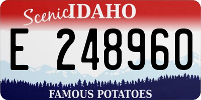 ID license plate E248960
