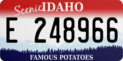 ID license plate E248966