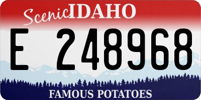 ID license plate E248968