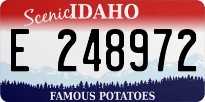 ID license plate E248972