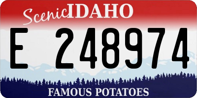 ID license plate E248974