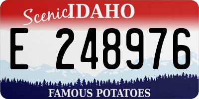 ID license plate E248976