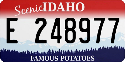 ID license plate E248977