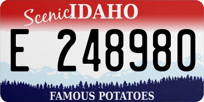 ID license plate E248980