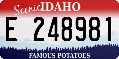 ID license plate E248981