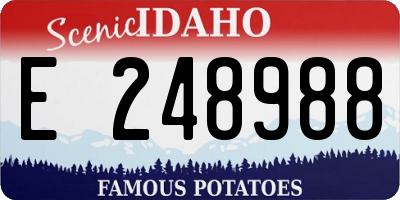 ID license plate E248988