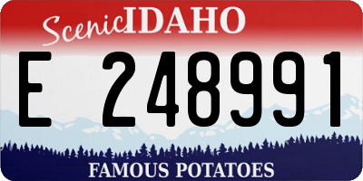 ID license plate E248991