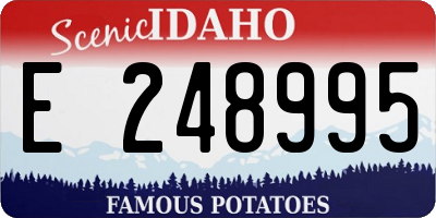 ID license plate E248995