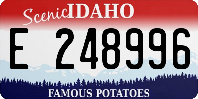 ID license plate E248996