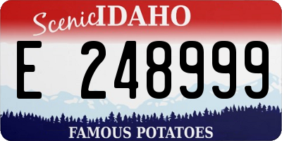 ID license plate E248999