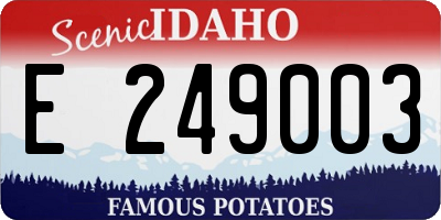ID license plate E249003