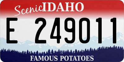 ID license plate E249011