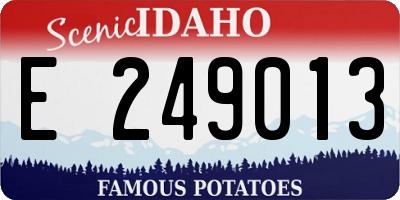 ID license plate E249013
