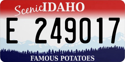ID license plate E249017